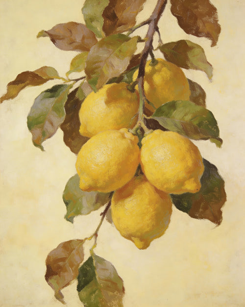 Botanical painting of lemons on the branch with leaves