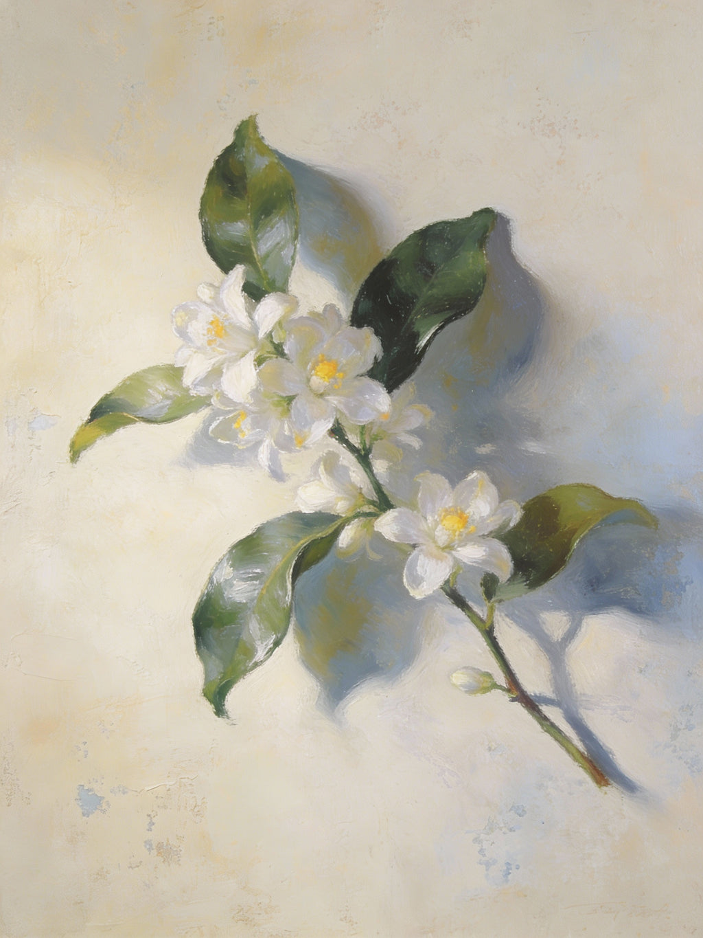 Citrus Bloom