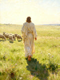 The Shepherd Who Knows Us