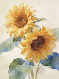 Sun-Washed Petals VI