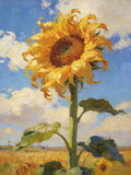 Sun-Washed Petals II